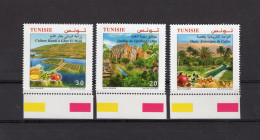 Tunisia/Tunisie 2024 - Innovative Agriculture Systems : Historic Oasis, Hanging Gardens & Ramli Culture - Stamps 3v - Tunisia