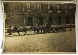 Rare Photographie Ancienne - Livreur De Charbons à Paris - Attelage De Chevaux Charette - Professions