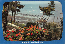 33-LE BASSIN D ARCACHON-N°2867-B/0271 - Autres & Non Classés