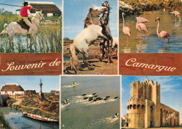 13-PAYSAGES DE CAMARGUE-N°2867-B/0027 - Other & Unclassified