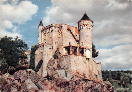 42-ROANNE-CHATEAU DE LA ROCHE-N°2868-B/0005 - Roanne