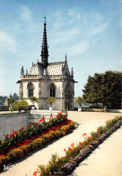 37-AMBOISE-N°2869-C/0339 - Amboise