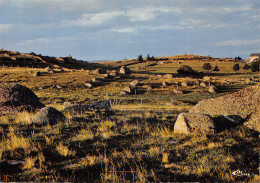 12-PAYSAGE DES MONTS D AUBRAC-N°2870-D/0043 - Otros & Sin Clasificación