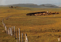 12-PAYSAGE DES MONTS D AUBRAC-N°2870-D/0031 - Sonstige & Ohne Zuordnung