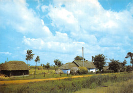 85-PAYSAGE DE VENDEE-BOURRINE-N°2874-C/0229 - Autres & Non Classés