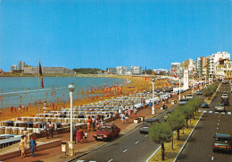 88-LES SABLES D OLONNE-N°2874-C/0117 - Sables D'Olonne