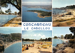 29-CONCARNEAU-PRESQU ILE DU CABELLOU-N°2874-B/0153 - Concarneau