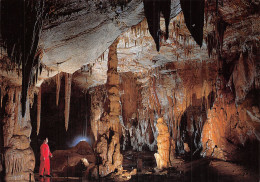 30-SAINT AMBROIX-GROTTE LA COCALIERE-N°2875-A/0301 - Saint-Ambroix