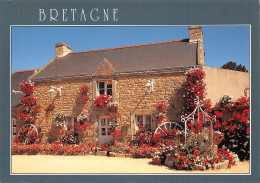 56-PAYSAGE BRETON-N°2875-A/0087 - Sonstige & Ohne Zuordnung