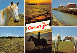 13-PANORAMA DE CAMARGUE-N°2874-C/0347 - Other & Unclassified