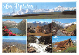 65-PAYSAGE DES PYRENEES-N°2876-B/0333 - Other & Unclassified