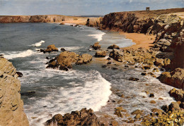 56-QUIBERON-N°2876-D/0039 - Quiberon