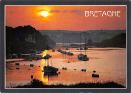 56-PAYSAGE BRETON-N°2877-C/0231 - Andere & Zonder Classificatie