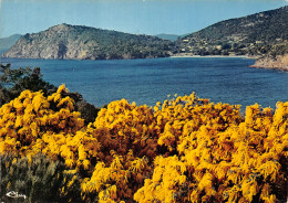 06-PANORAMA DE LA COTE D AZUR-N°2878-A/0343 - Sonstige & Ohne Zuordnung