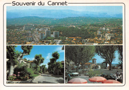 06-LE CANNET-N°2880-C/0169 - Le Cannet