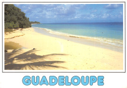971-LA GUADELOUPE-N°2880-A/0177 - Other & Unclassified
