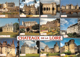 49-PANORAMA DES CHATEAUX DE LA LOIRE-N°2882-C/0121 - Autres & Non Classés