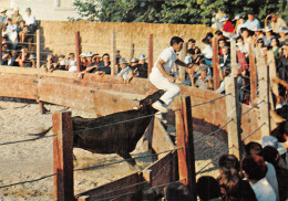 13-SCENE DE PROVENCE-COURSE AUX ARENES-N°2884-B/0129 - Autres & Non Classés