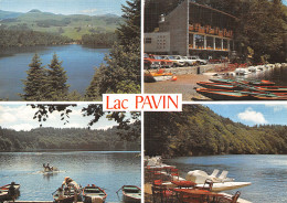 63-LE LAC PAVIN-N°2883-D/0211 - Autres & Non Classés