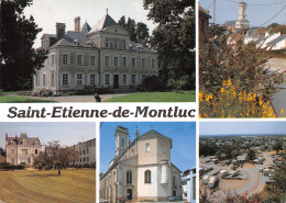 44-SAINT ETIENNE DE MONTLUC-N°2887-B/0391 - Saint Etienne De Montluc