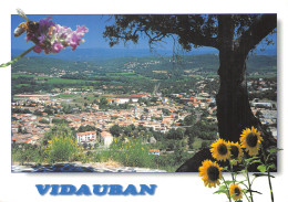 83-VIDAUBAN-N°2887-B/0353 - Vidauban