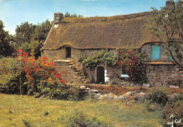 29-PAYSAGE BRETON-LA CHAUMIERE-N°2889-B/0063 - Andere & Zonder Classificatie