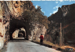 48-LES GORGES DU TARN-N°2889-D/0113 - Andere & Zonder Classificatie