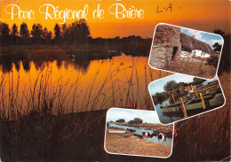 44-PAYSAGE DE LA GRANDE BRIERE-N°2890-B/0301 - Autres & Non Classés