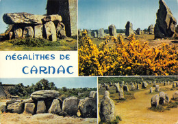 56-CARNAC-N°2890-A/0391 - Carnac