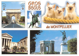 34-MONTPELLIER-N°2893-B/0173 - Montpellier