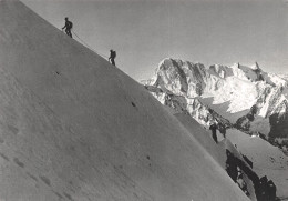 74-LES GRANDES JORASSES-N°2893-C/0341 - Other & Unclassified