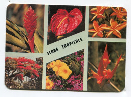 Fleurs Des Tropiques - Flore Tropicale - Flowers