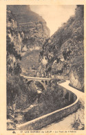 06-LES GORGES DU LOUP-N°C-4370-H/0153 - Autres & Non Classés