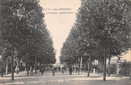 49-ANGERS-N°C-4374-C/0361 - Angers