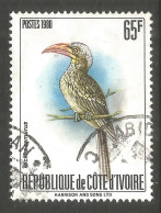 IVORY COAST. 65F HORNBILL / BIRDS USED - Côte D'Ivoire (1960-...)