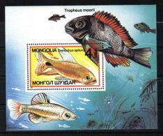 Mongolia - 1987 Fishes Block MNH__(TH-6344) - Mongolie