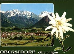 71456802 Oberstdorf  Anatswald - Oberstdorf