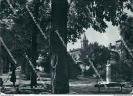 Ch103 Cartolina Faenza Giardini Pubblici Provincia Di Ravenna Emilia Romagna - Ravenna