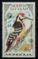Mongolie - "Oiseau Grimpeur : Dryobates Leucotos" - Neu 2** N° 1503 De 1987 - Mongolia