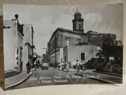 Italia SALICE SALENTINO Lecce. Via Vittorio Emanuele E Palazzo Municipale 1961. FG - Lecce