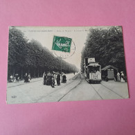 Fontenay Sous Bois - Route De Nogent - A Travers Le Bois - Station De Tramway Porte Jaune - Fontenay Sous Bois