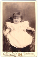 Fotografie Alph. Tronel, Schaffhausen, Portrait Niedliches Mädchen Im Kleid Sitzt Im Kindersessel  - Anonymous Persons