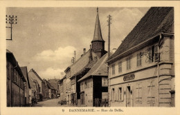 CPA Dannemarie Dammerkirch Elsass Haut Rhin, Rue De Delle - Autres & Non Classés