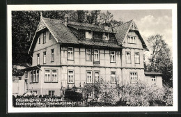 AK Blankenburg /Harz, Hotel Helgoland Gnauck-Kühne-Strasse 7  - Blankenburg