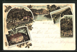 Lithographie Frankenberg, Schloss Lichtenwalde, Blick Zum Harrasfelsen Ins Zschopauthal, Harras-Eiche & Harras-Denkmal  - Zschopau