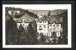 AK Lazne Teplice N. B., Blick Zum Kurhaus  - Czech Republic