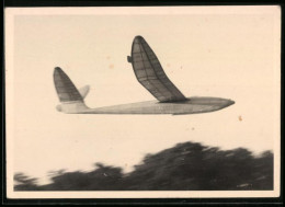 Fotografie Otto Dowe, Berlin, Modell-Segelflug, Segelflugzeug-Modell Im Vorbeiflug  - Aviation