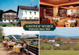 73910942 Triefenried Gasthof Weber Pension Gastraum Terrasse Panorama - Autres & Non Classés