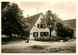 73910912 Heidelberg  Neckar Gasthaus Alter Kohlhof - Heidelberg