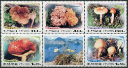 Korea 2002. Fungi In Mount Paektu (L.2) (MNH OG) Block Of 5 Stamps And 1 Label - Corée Du Nord